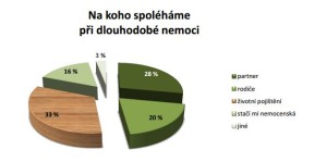 pojisteni